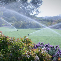 Irrigation and Sprinkler System Repair & Maintenance in New Jersey
